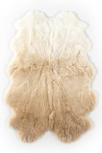 Lalo Ombre Rug