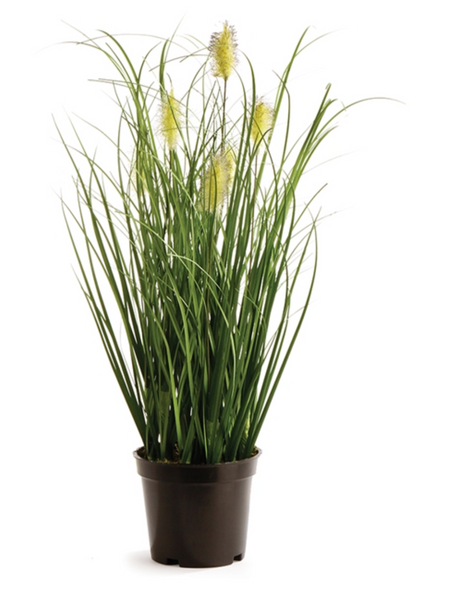 Wild Grass Drop- In